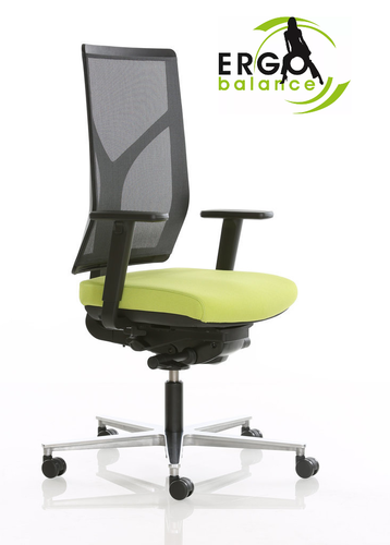 Rovo Chair R16 3030 Ergo Balance