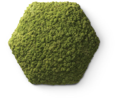 Nordgröna- Moos Convex Hexagon
