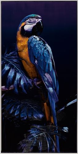 Art Canvas Chronicles "Papagei in blau" Acryl Gemälde