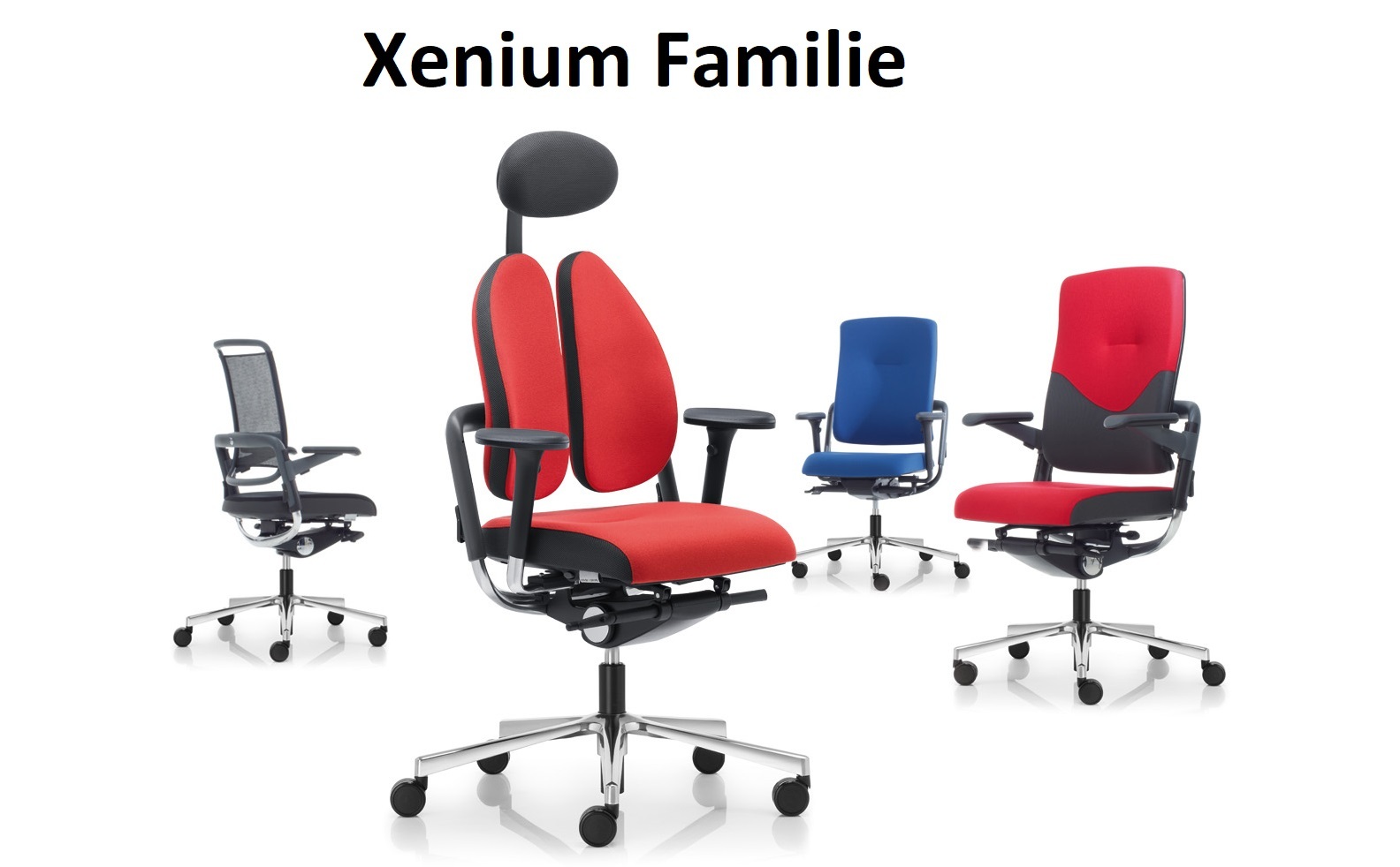art-office-shop-nowy-styl-speed-xenium-familie